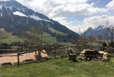 A vendre chalet rénové avec studio indépendant