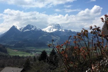 A vendre chalet rénové avec studio indépendant