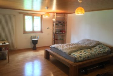 A vendre chalet rénové avec studio indépendant