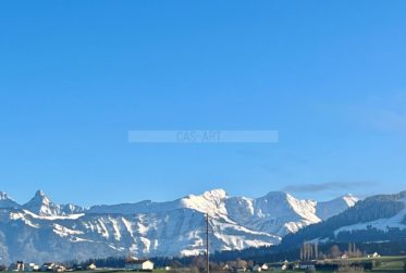 A vendre: 3.5 pc Vaulruz