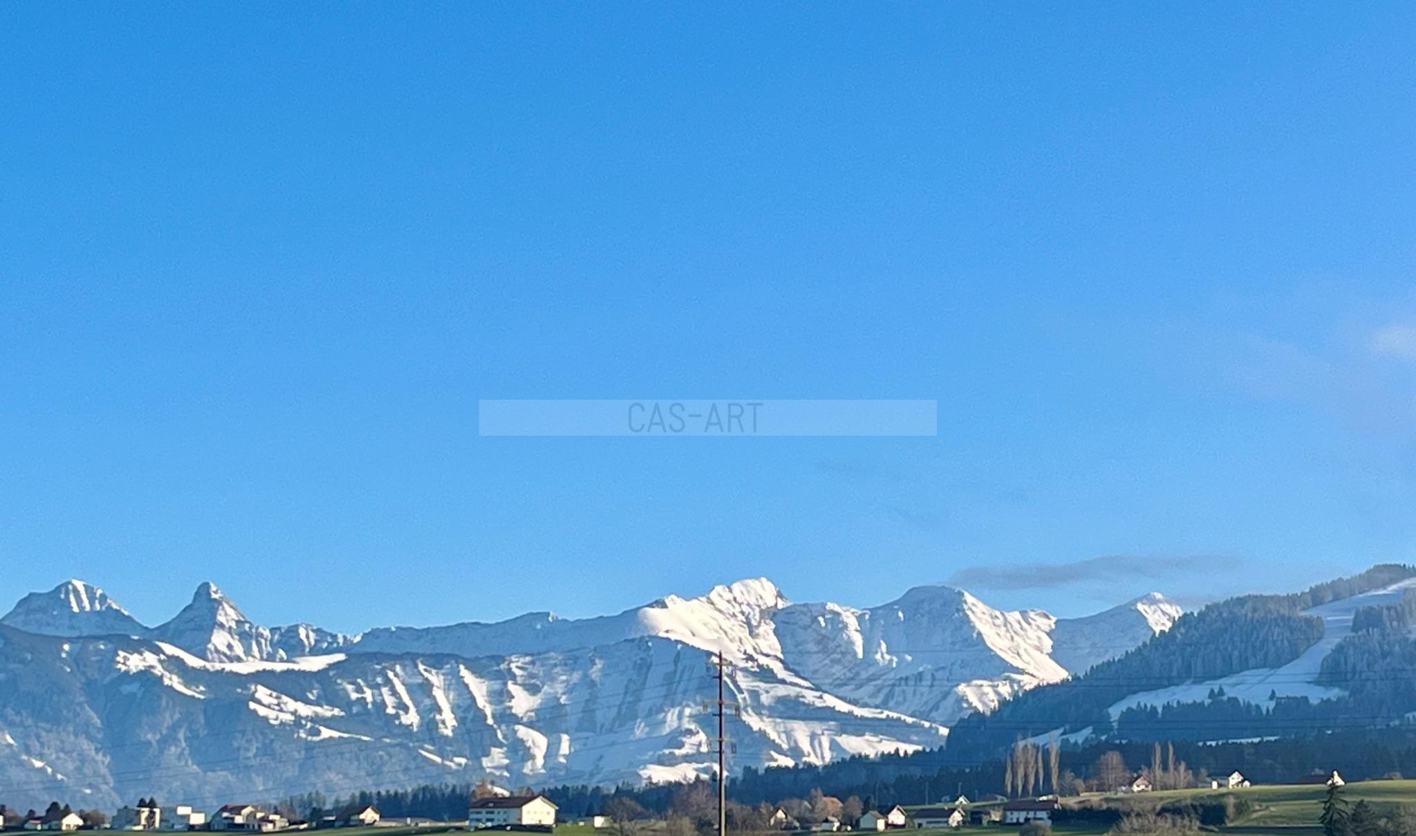 A vendre: 3.5 pc Vaulruz