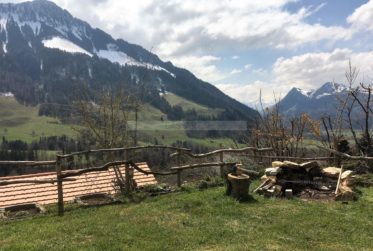 A vendre chalet rénové avec studio indépendant